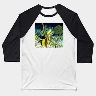 Squid at Night Baseball T-Shirt